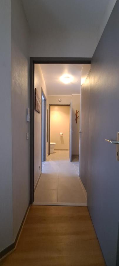 Appart T2 Standing Tout Confort Avec Balcon - Parking En Option Lione Esterno foto
